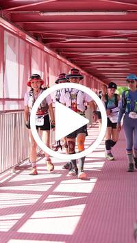 BIB:  <button type="button" onclick="openModal(27523104)" class="btn btn-primary btn-sm float-right" data-toggle="modal" data-target=".modal-high-quality">
                <i class="fa fa-download"></i> Download
                </button>